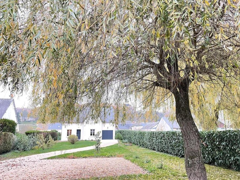 Havre De Paix Spa Proche Amboise & Chateaux De La Loire Noizay Exteriér fotografie